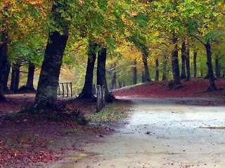 Parco Dell'etna Hotel 3*